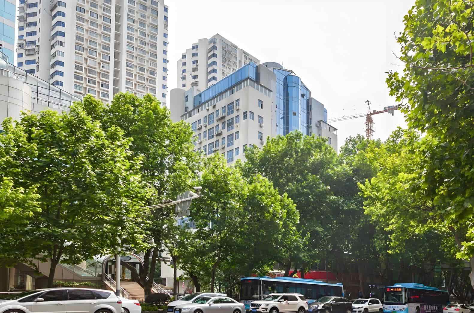 南京鸿运大厦